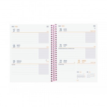 AGENDA FINOCAM DIVA 1/8 120X164 MM SVH 24-25 STARS+