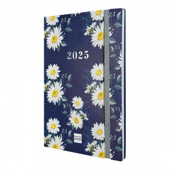 AGENDA FINOCAM 16M.DOTTED Y10 140X204 MM SVH24-25 MARGA INTL+