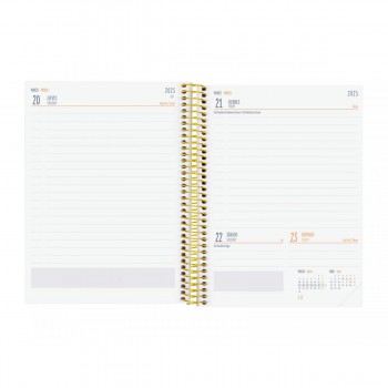 AGENDA FINOCAM SEC.1/4 1DP 24-25 TIGER+