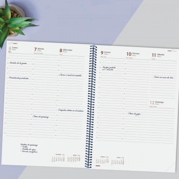 AGENDA ANUAL 2025 FINOCAM YEAR E40 210X297 SVV AZUL