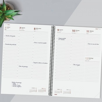 AGENDA ANUAL 2025 FINOCAM YEAR E40 210X297 SVV NEGRO