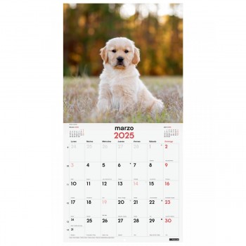 CALENDARIO PARED FINOCAM 2025 30X30 CACHORROS