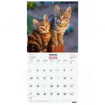 CALENDARIO PARED FINOCAM 2025 30X30 GATITOS