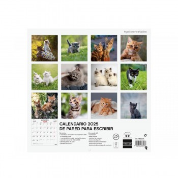 CALENDARIO PARED FINOCAM 2025 30X30 GATITOS