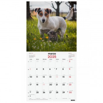 CALENDARIO PARED FINOCAM 2025 30X30 PERROS Y GATOS