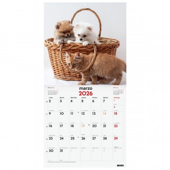CALENDARIO PARED FINOCAM 2026 30X30 PERROS Y GATOS