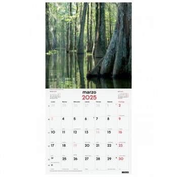 CALENDARIO PARED FINOCAM 2025 30X30 NATURALEZA