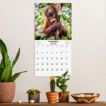 CALENDARIO PARED FINOCAM 2025 30X30 FAUNA