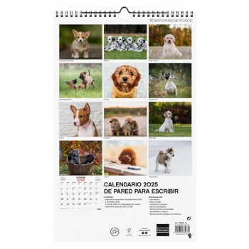 CALENDARIO PARED FINOCAM 2025 25X40 CACHORROS