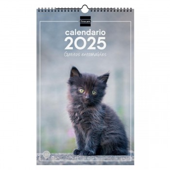 CALENDARIO PARED FINOCAM 2025 25X40 GATITOS