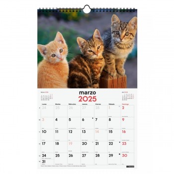 CALENDARIO PARED FINOCAM 2025 25X40 GATITOS