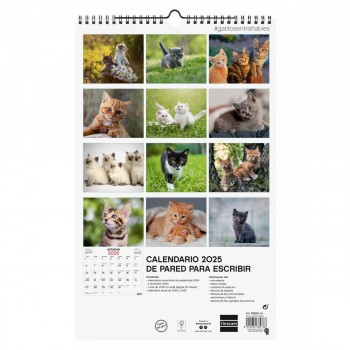 CALENDARIO PARED FINOCAM 2025 25X40 GATITOS