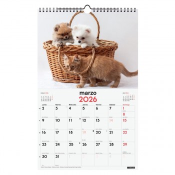 CALENDARIO PARED FINOCAM 2026 25X40 PERROS GATOS