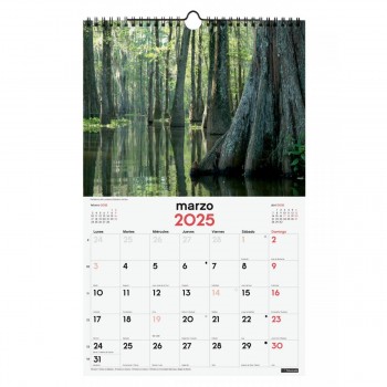 CALENDARIO PARED FINOCAM 2025 25X40 NATURALEZA