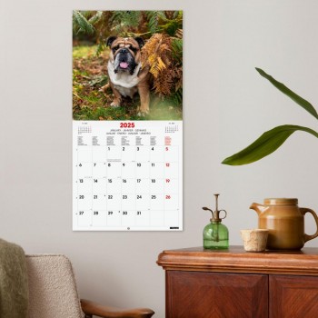 CALENDARIO PARED FINOCAM 2025 30X30 DOGS