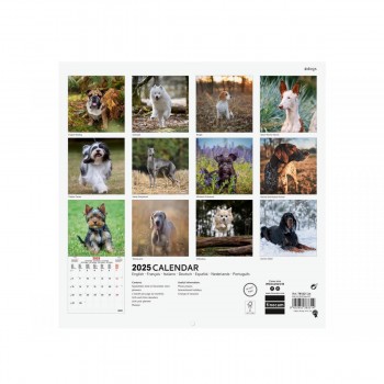 CALENDARIO PARED FINOCAM 2025 30X30 DOGS