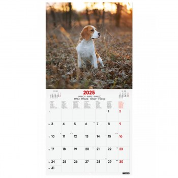 CALENDARIO PARED FINOCAM 2025 30X30 DOGS