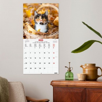 CALENDARIO PARED FINOCAM 2025 30X30 CATS