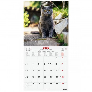 CALENDARIO PARED FINOCAM 2025 30X30 CATS