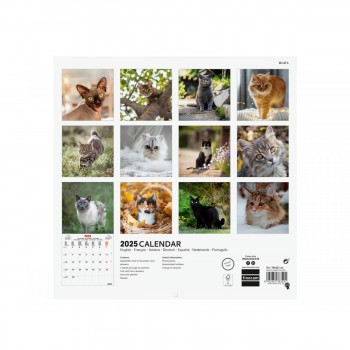 CALENDARIO PARED FINOCAM 2025 30X30 CATS