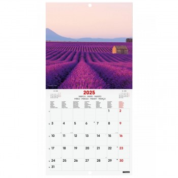 CALENDARIO PARED FINOCAM 2025 18X18 TRAVELING