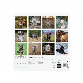 CALENDARIO PARED FINOCAM 2025 18X18 DOGS