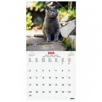 CALENDARIO PARED FINOCAM 2025 18X18 CATS