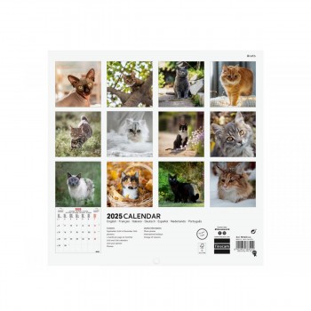 CALENDARIO PARED FINOCAM 2025 18X18 CATS