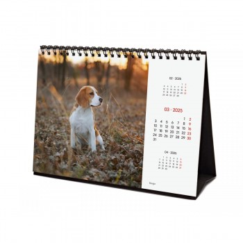 CALENDARIO SOBREMESA FINOCAM 2025 DOGS