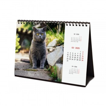 CALENDARIO SOBREMESA FINOCAM 2025 CATS