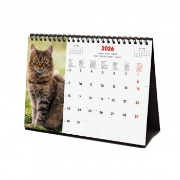 CALENDARIO SOBREMESA FINOCAM 2026 CATS