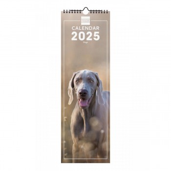 CALENDARIO PARED FINOCAM 2025 15X48 DOGS