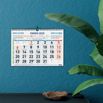 CALENDARIO PARED FINOCAM COLOR NG M 30X21 2025