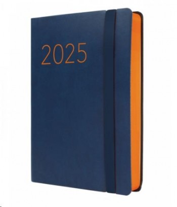 AGENDA ANUAL 2025 FINOCAM LISA F4 118X168 1DP AZUL