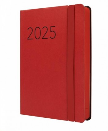 AGENDA ANUAL 2025 FINOCAM LISA F4 118X168 1DP ROJO