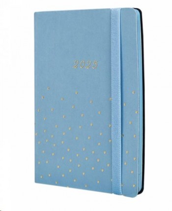 AGENDA ANUAL 2025 FINOCAM JOY F4 118X168 SVH CONFETI