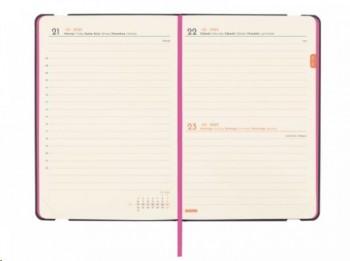 AGENDA ANUAL 2025 FINOCAM JOY F4 118X168 1DP BLOOM