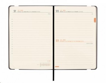 AGENDA ANUAL 2025 FINOCAM JOY F4 118X168 1DP FLASH