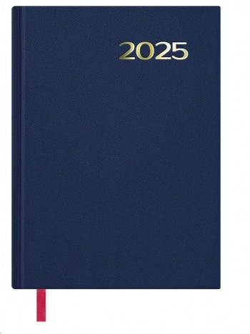 AGENDA ANUAL DOHE 2025 SINTEX DIA PAGINA COLOR AZUL