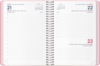 AGENDA ANUAL DOHE 2025 12,5X18 D/P GLOSS ROSA