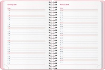 AGENDA ANUAL DOHE 2025 12,5X18 D/P GLOSS ROSA