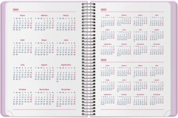 AGENDA ANUAL DOHE 2025 12,5X18 D/P GLOSS MORADO