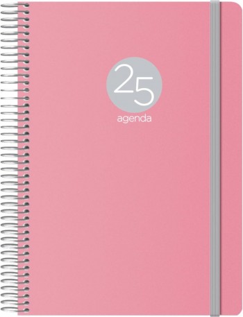 AGENDA ANUAL DOHE 2025 15X21 D/P MEMPHIS ROSA