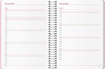 AGENDA ANUAL DOHE 2025 15X21 D/P MEMPHIS ROSA