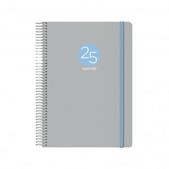 AGENDA ANUAL DOHE 2025 15X21 D/P MEMPHIS GRIS