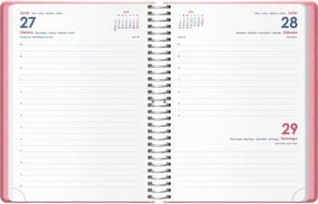 AGENDA ANUAL DOHE 2025 15X21 D/P DENVER ROSA