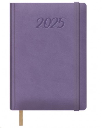 AGENDA ANUAL DOHE 2025 15X21 D/P SAMBA MORADO