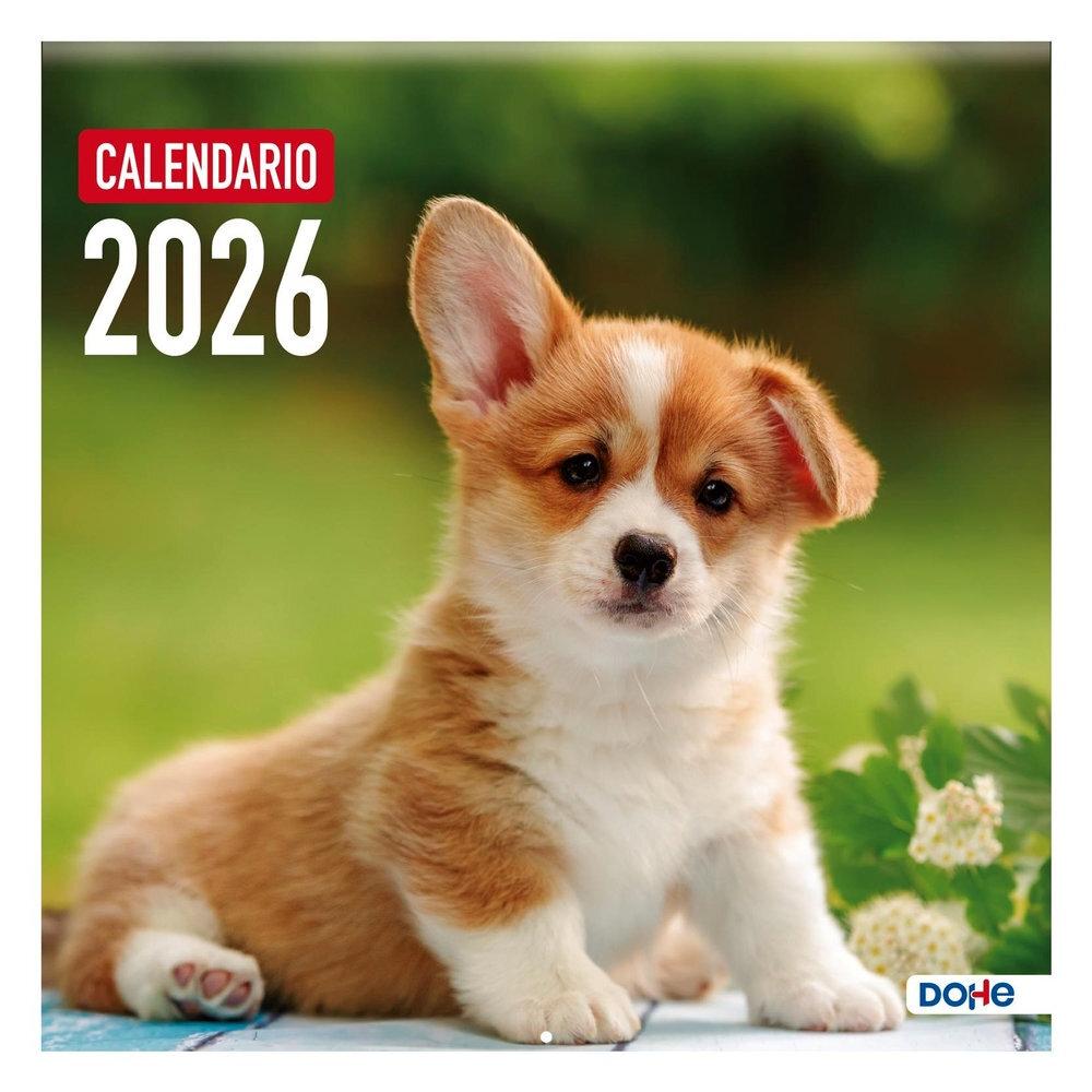 CALENDARIO PARED 2026  PERROS MES VISTA 30 x 30