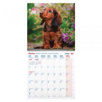 CALENDARIO PARED 2026  PERROS MES VISTA 30 x 30