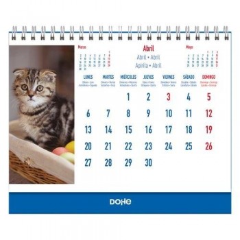 CALENDARIO SOBREMESA 2026  GATOS MES VISTA 15 x 21